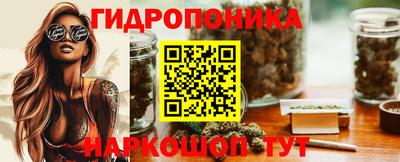 spice Гай