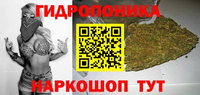 spice Гагарин