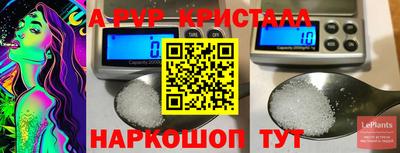 spice Гай