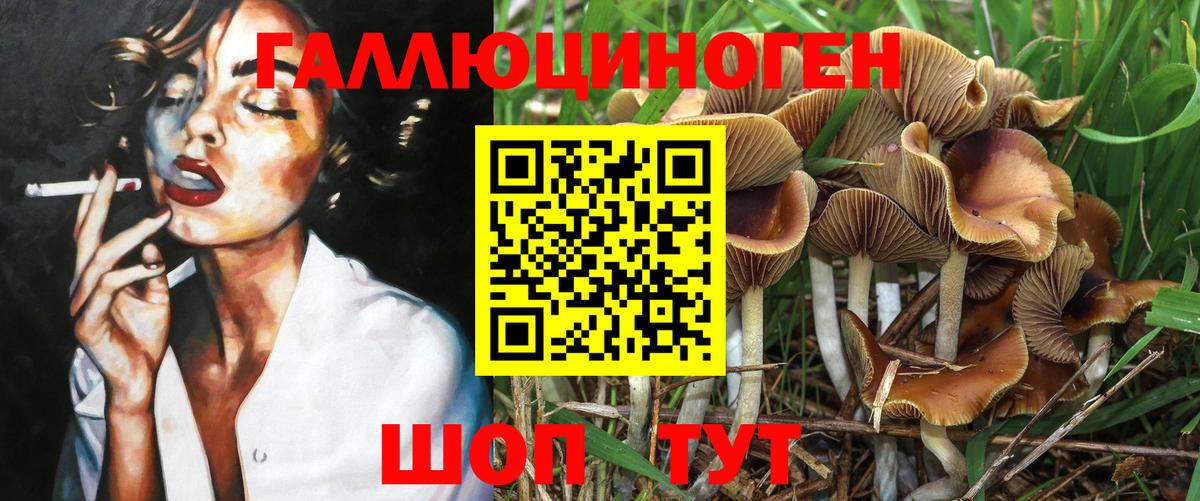 Псилоцибиновые грибы Psilocybe Медногорск