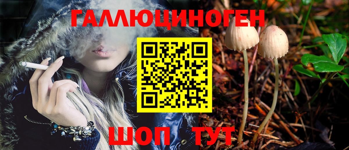 как найти наркотики  Галлюциногенные грибы GOLDEN TEACHER  Медногорск  Вход с VPN  Псилоцибиновые грибы мухоморы 